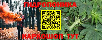 СК Заволжье