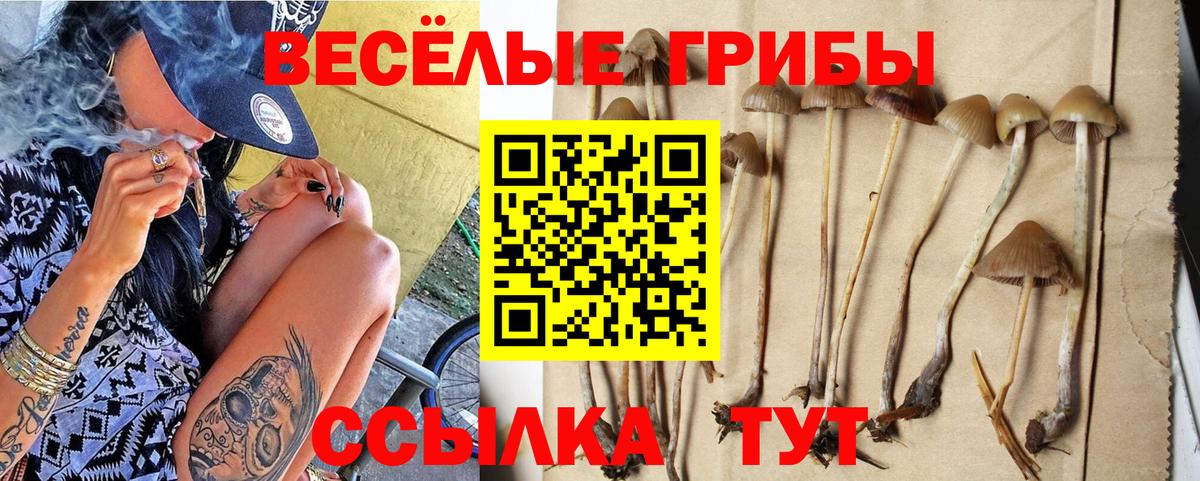 Кыштым  Псилоцибиновые грибы GOLDEN TEACHER  Псилоцибиновые грибы мухоморы  Вход с VPN 